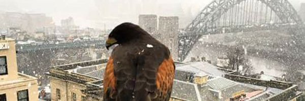 OT_Sarah Profile Banner