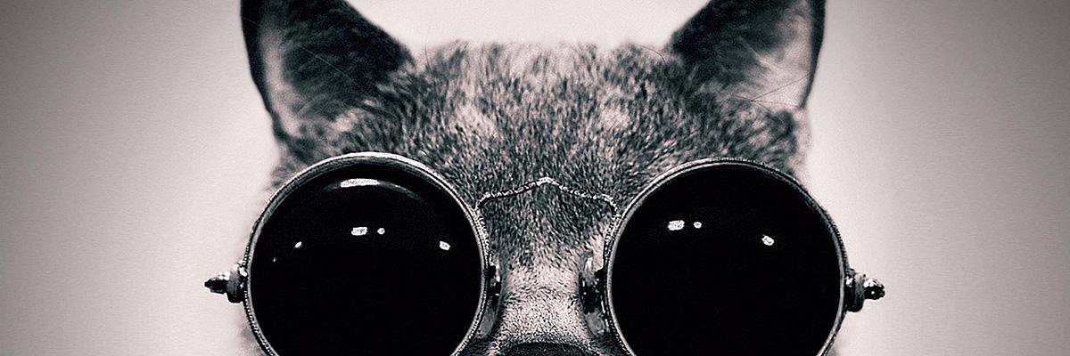 daedaedemi's profile banner image