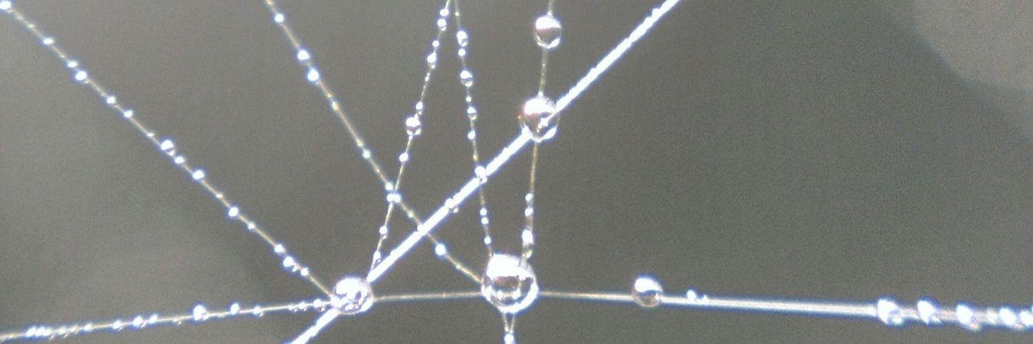 jun10x8321's profile banner image