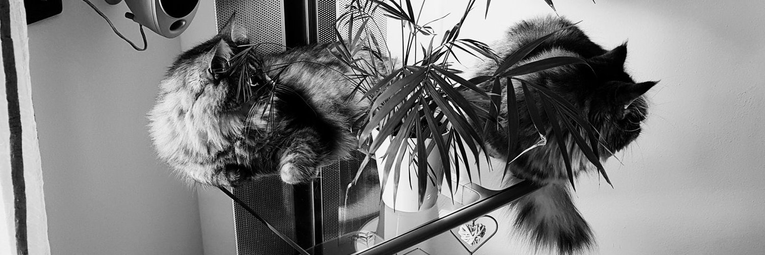 ModugnoMaurizio's profile banner image
