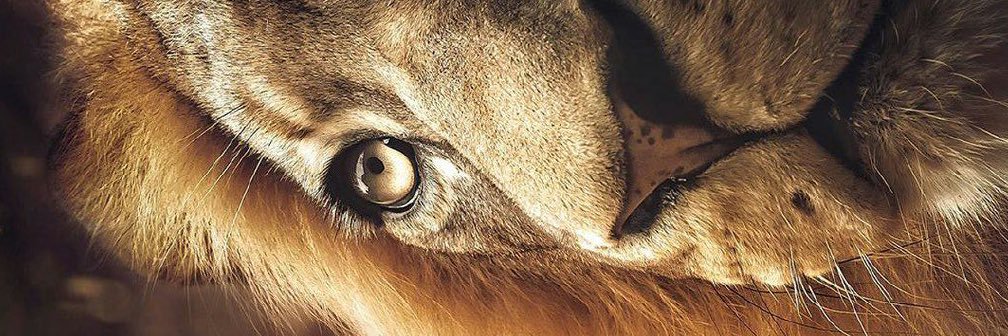 antoncozz's profile banner image
