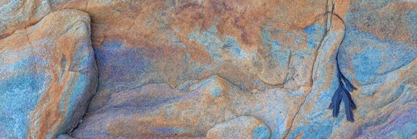 dpringlephoto's profile banner image