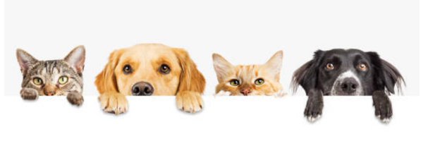 BereaARF Profile Banner