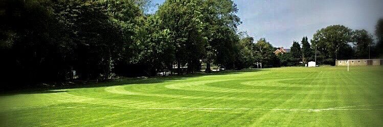 Four Marks FC banner