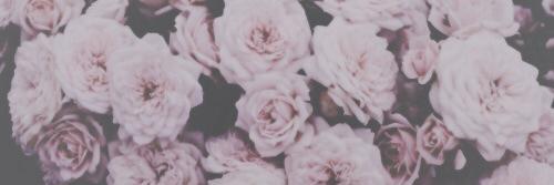 PimpinNiall's profile banner image