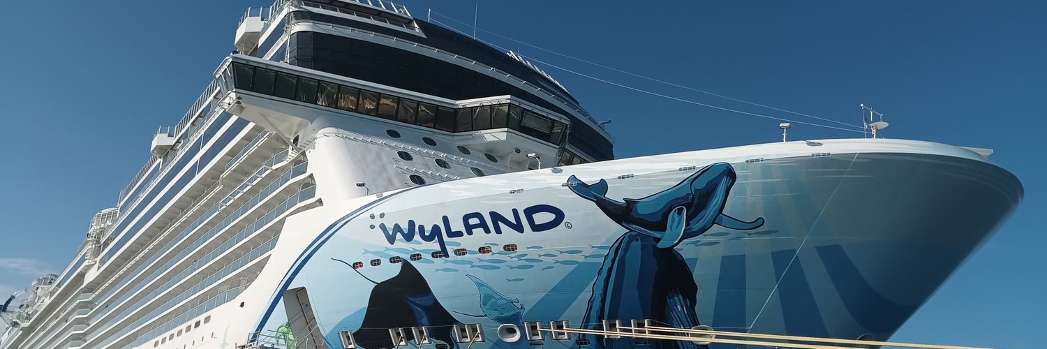 Claudio Pinto banner