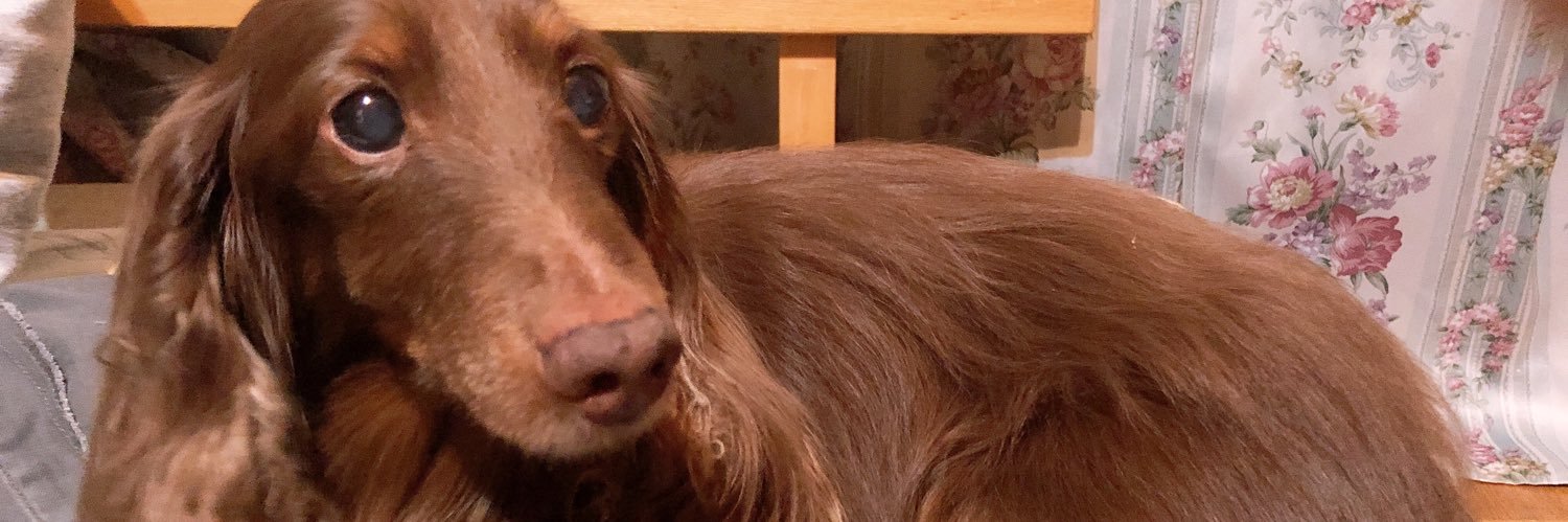 李音-ﾘﾝ-（取引垢） banner