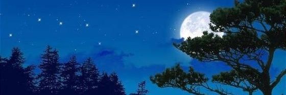 AimeeL28's profile banner image