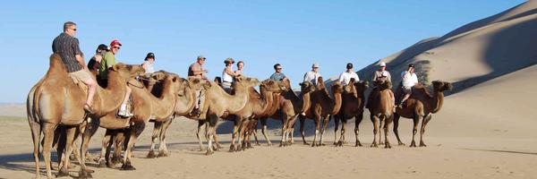 mircorp Profile Banner