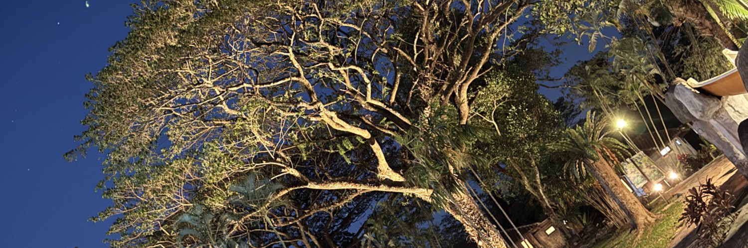 Siwamet's profile banner image