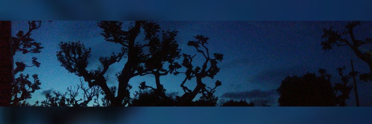 SimoneCal10's profile banner image