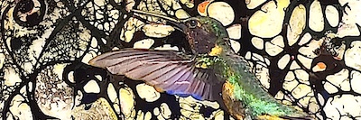 DAVIDCOMFORT's profile banner image