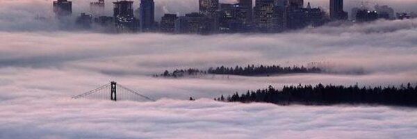 M9Michele Profile Banner