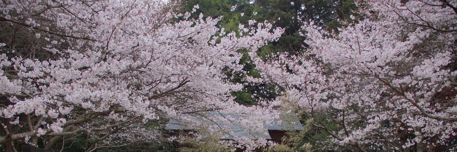 usei10000's profile banner image