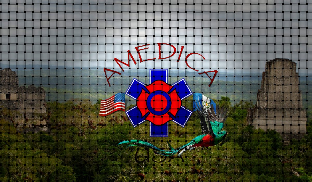 AMEDICAusa's profile banner image