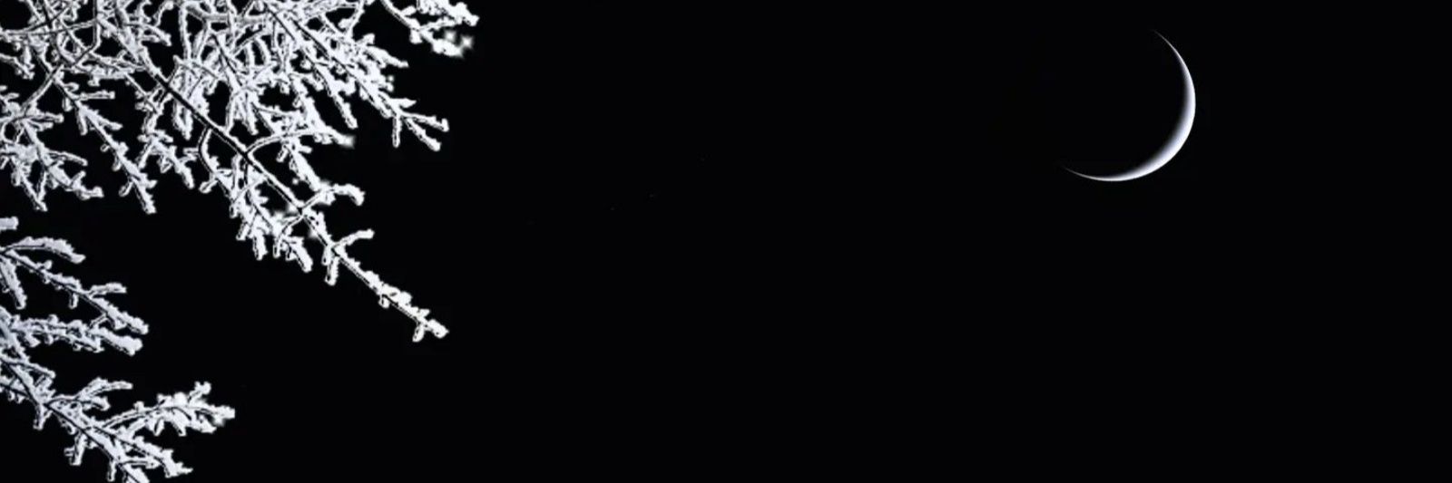 kfeshan's profile banner image