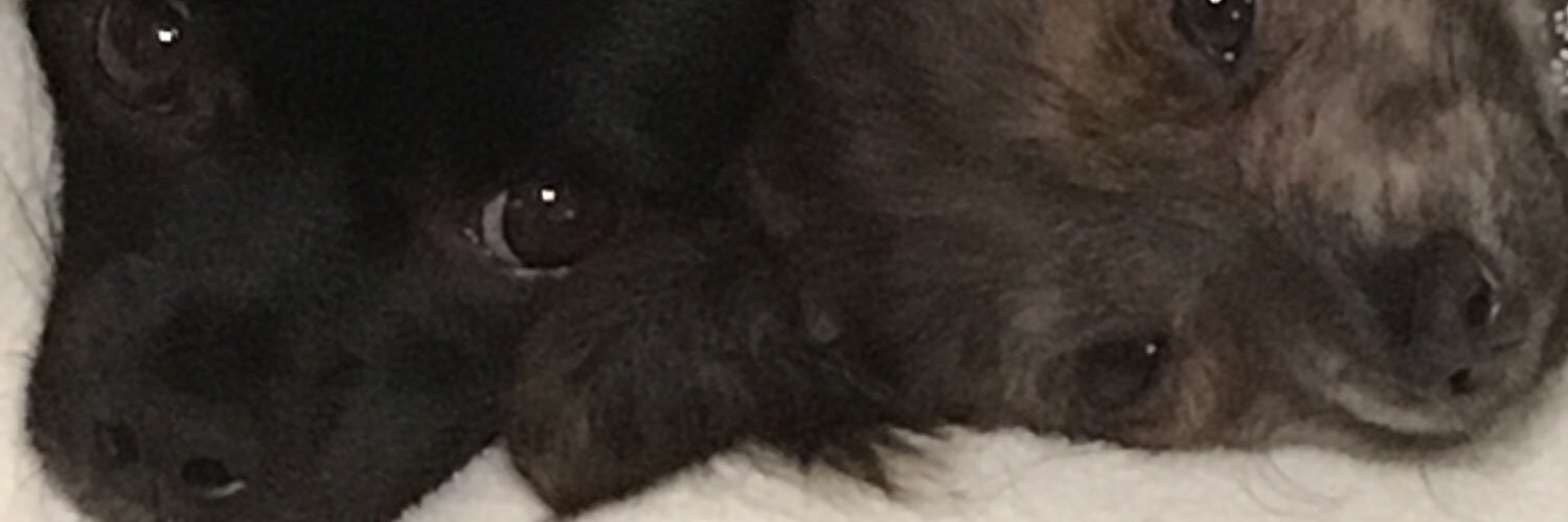 Doc_Gorski's profile banner image