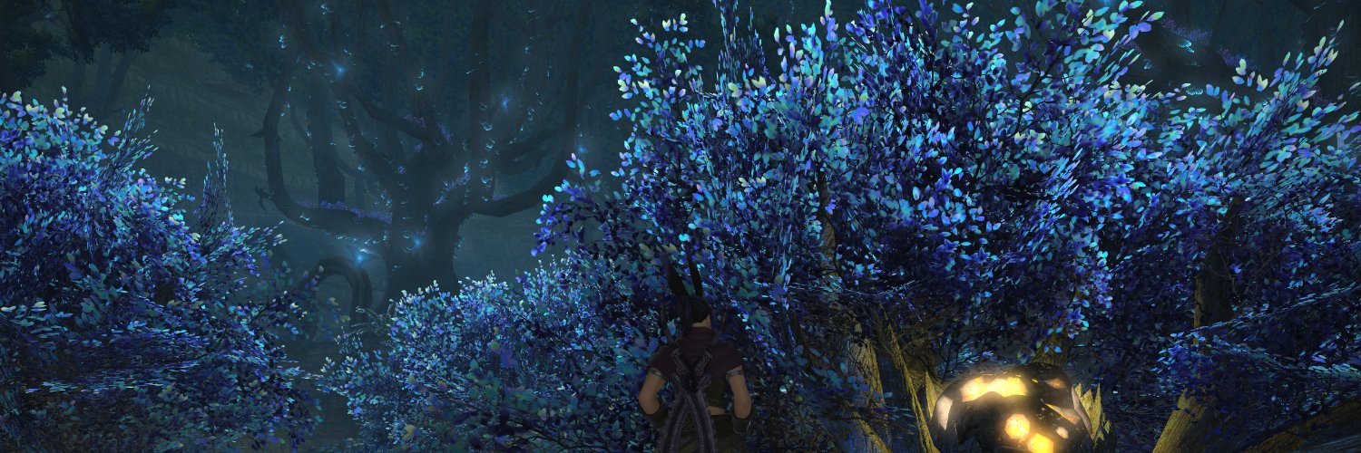 Kisae__'s profile banner image