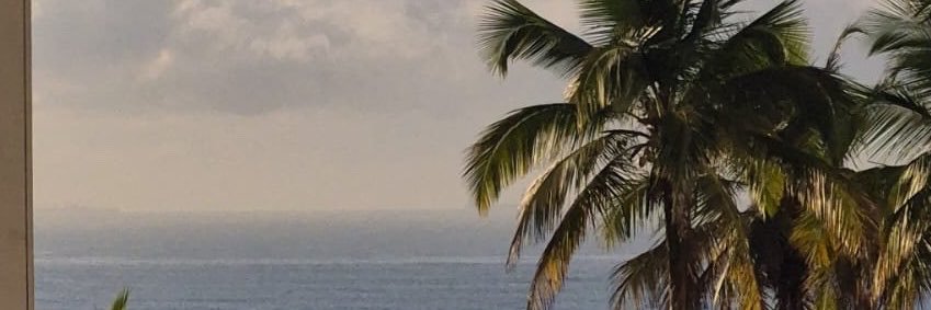 lelefffffz's profile banner image