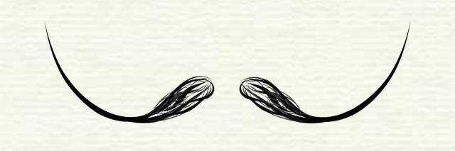 Carolina Maciá banner