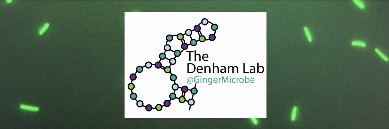 Dr Emma Denham 👩🏻‍🦰🧬🧫🦠👩‍🔬🔬🥳 banner
