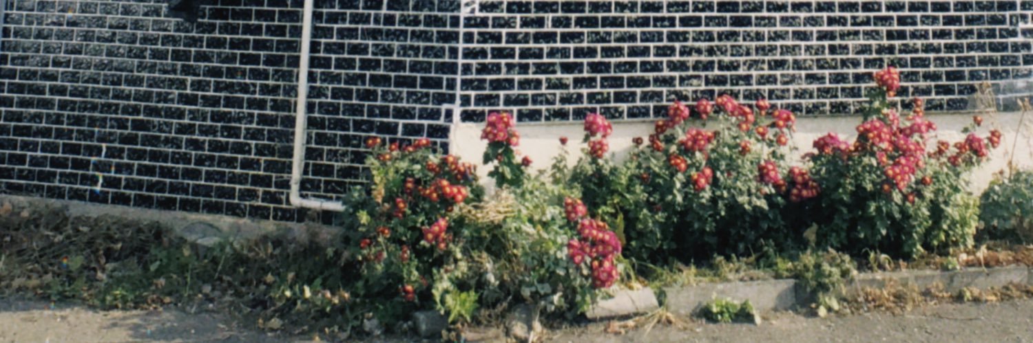 z_o_sh's profile banner image
