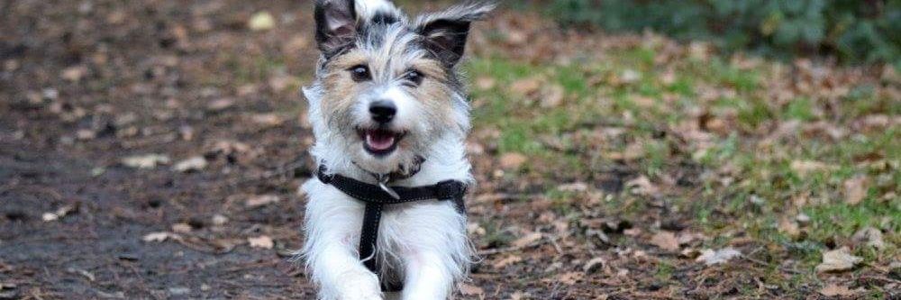 Darryl Kinsey banner