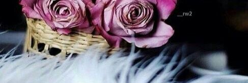 amone_1408's profile banner image