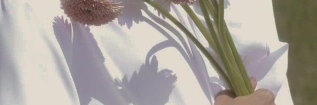 wnntsp_'s profile banner image