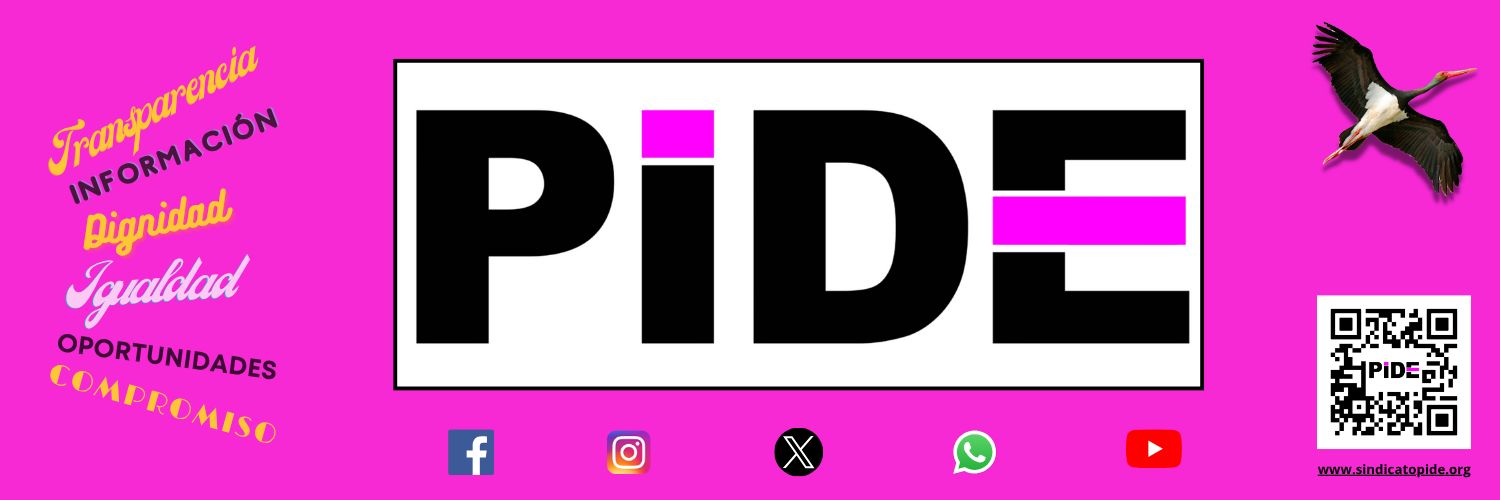 Sindicato PIDE banner