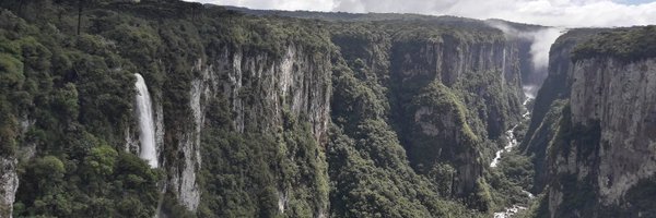 bnpedroso Profile Banner