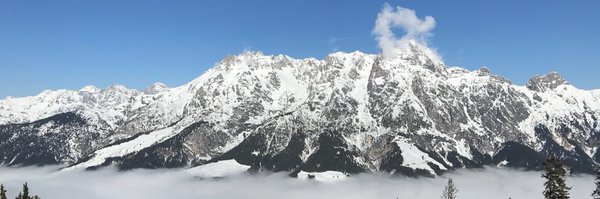 Shelba_B Profile Banner