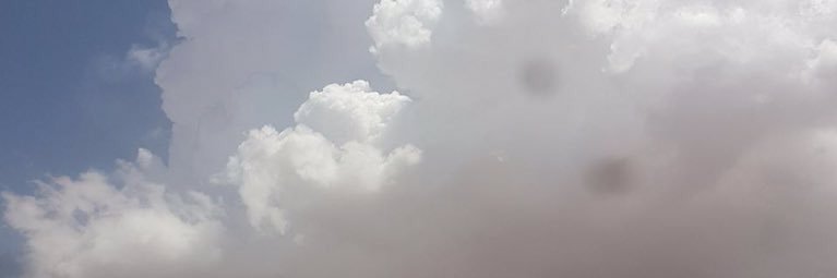 556Alharbi's profile banner image