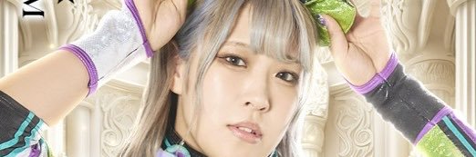 フジティー banner