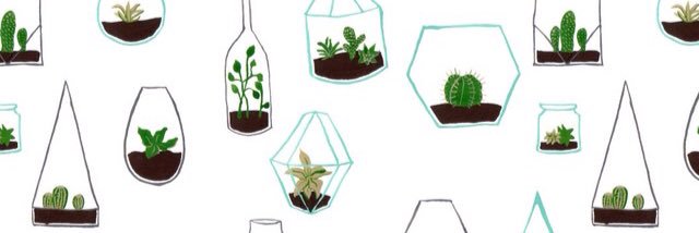 TheBlankCanvas banner