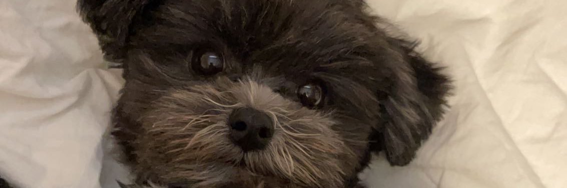 jackboyjakob's profile banner image