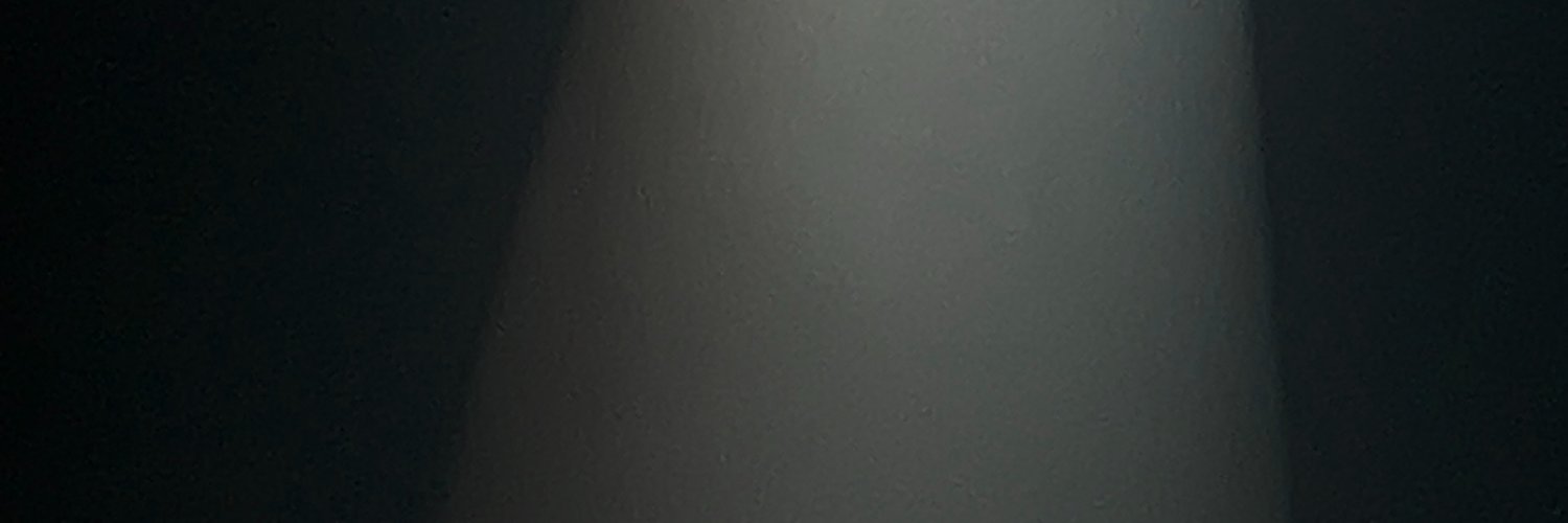 alyslxn's profile banner image