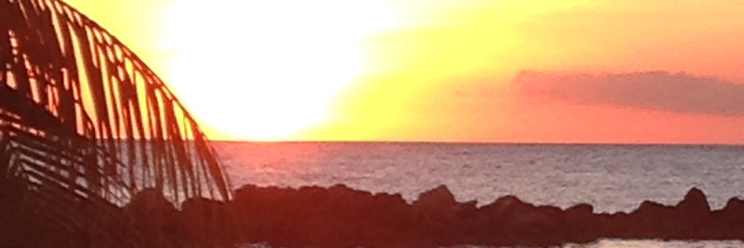 BrigitteKoetzi1's profile banner image