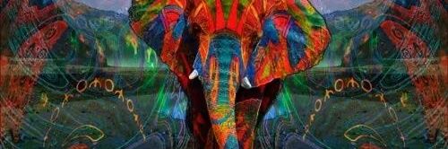 llimadudaa's profile banner image