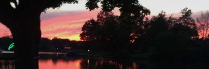 DavisHassmann's profile banner image