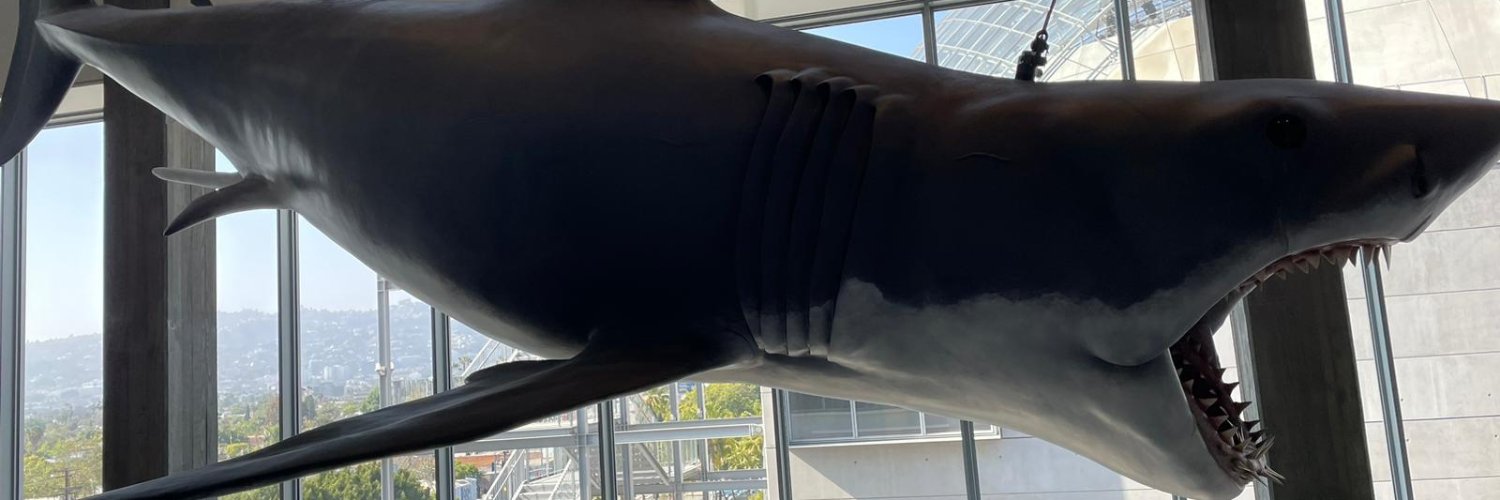 thorgw's profile banner image