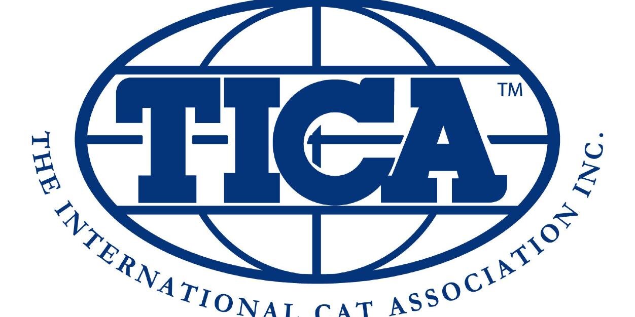 OSHCatsTICA's profile banner image