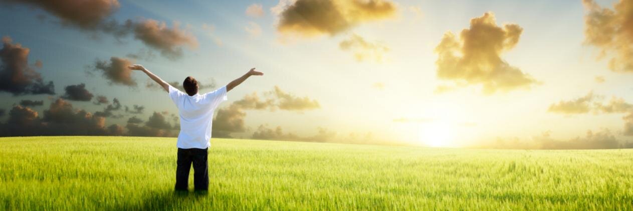 Freedom Centre banner