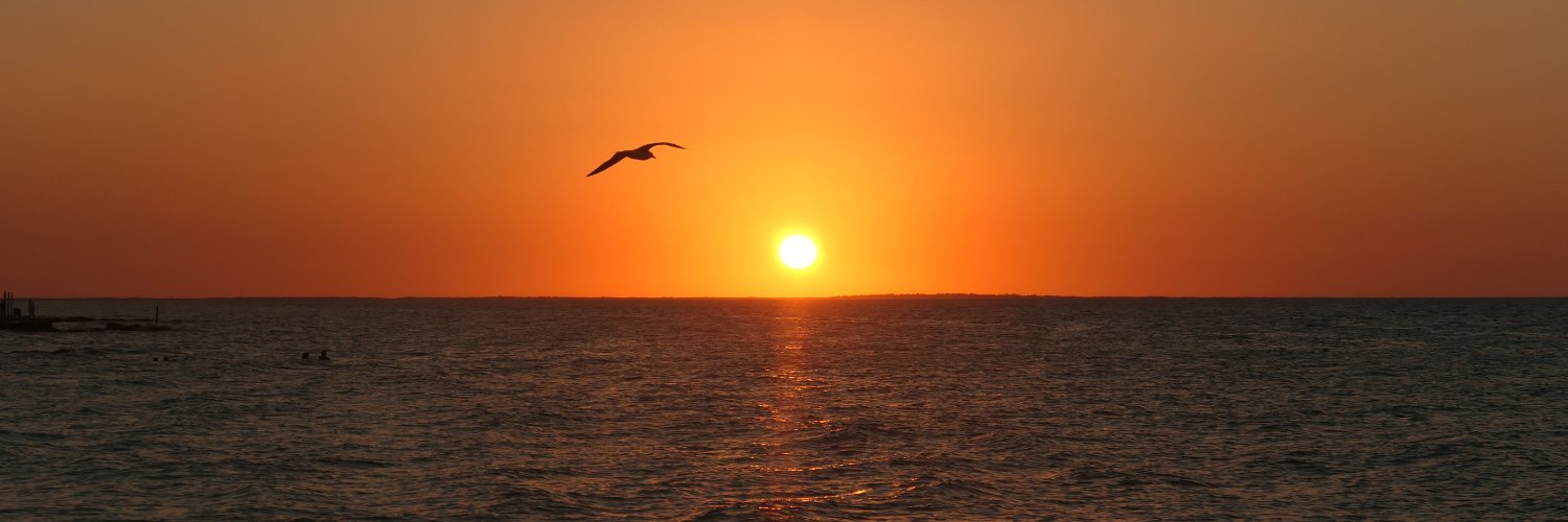 RoxaneCarlozzi's profile banner image