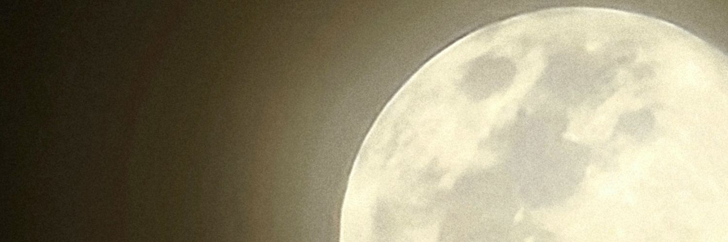 ronnie_roguz's profile banner image