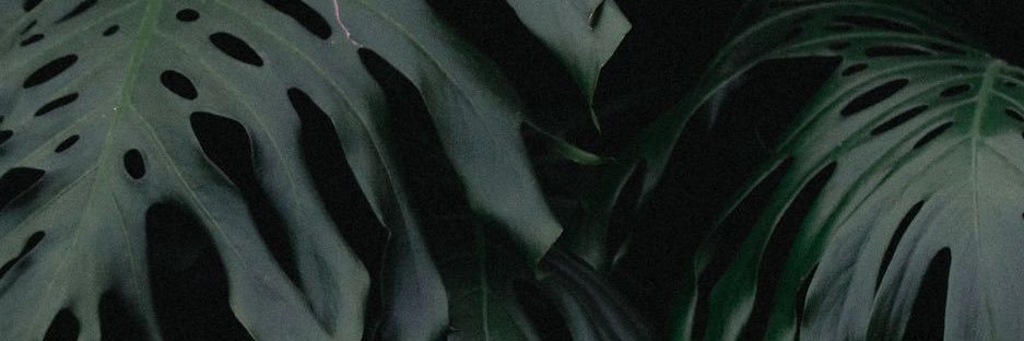 jp_ochoab's profile banner image