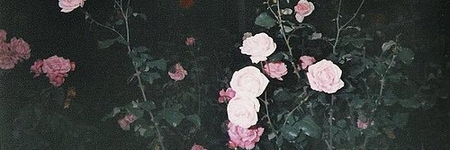 461O381's profile banner image