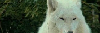 patrickwilson55's profile banner image