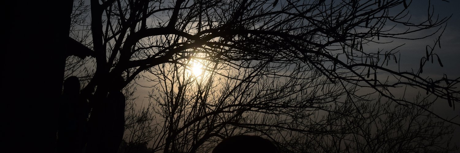 BagusHardono's profile banner image