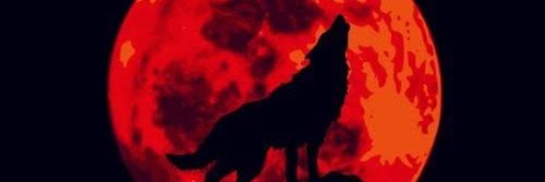 al_jodhy's profile banner image